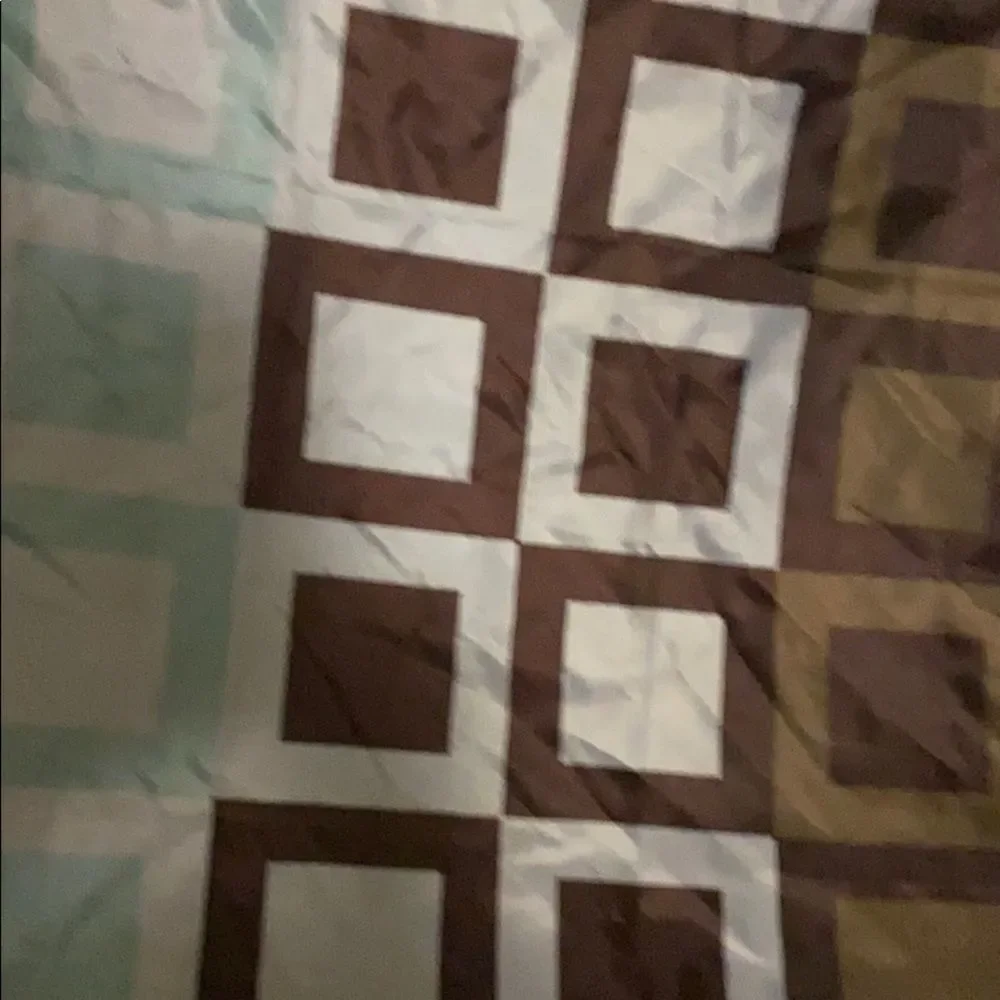 Shower curtain